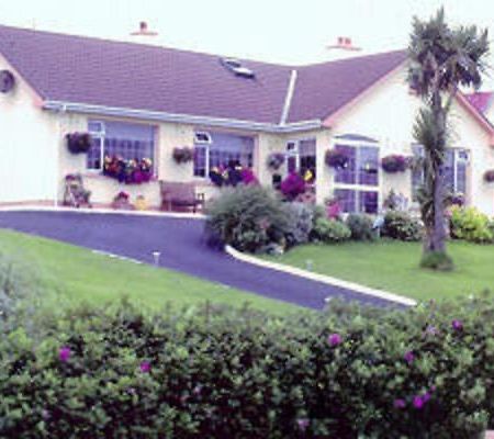 The Yellow Rose B&B Belderg エクステリア 写真