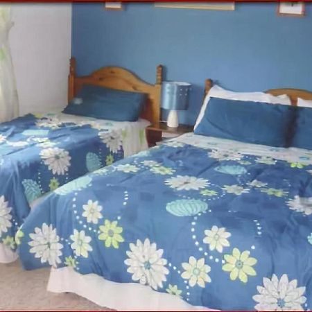 The Yellow Rose B&B Belderg エクステリア 写真