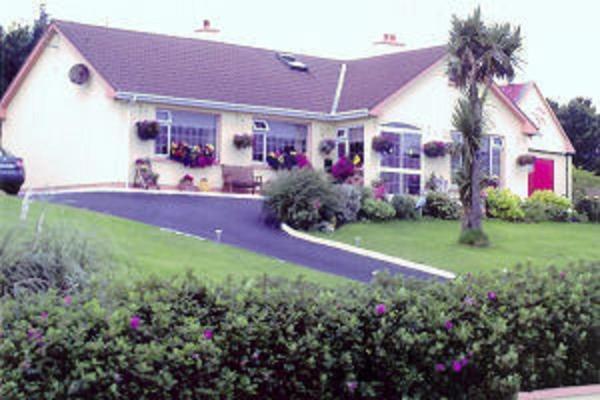 The Yellow Rose B&B Belderg エクステリア 写真