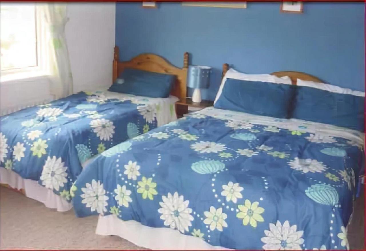 The Yellow Rose B&B Belderg エクステリア 写真